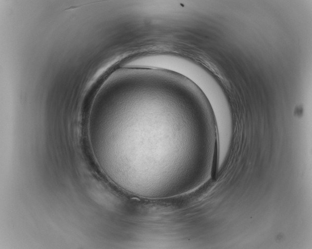 X0000090470722200707272257