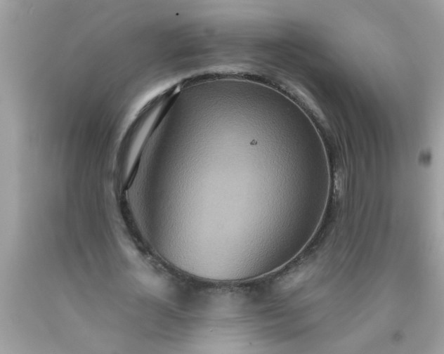 X0000090470724200707272258