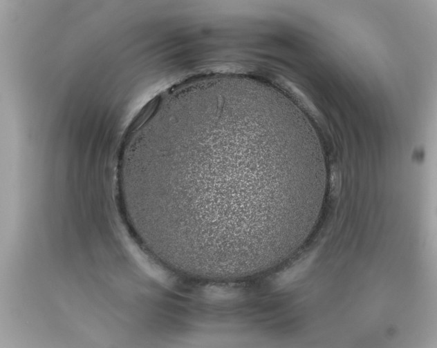 X0000090470725200707272258