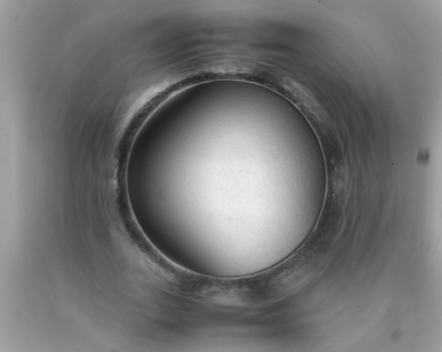 X0000090470727200707272258