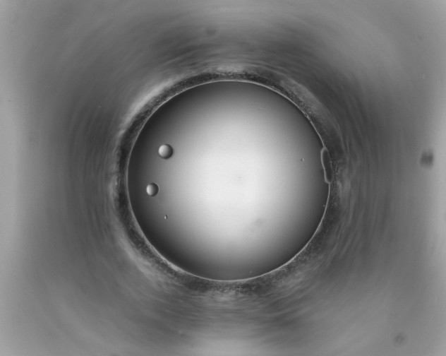 X0000090470728200707272258