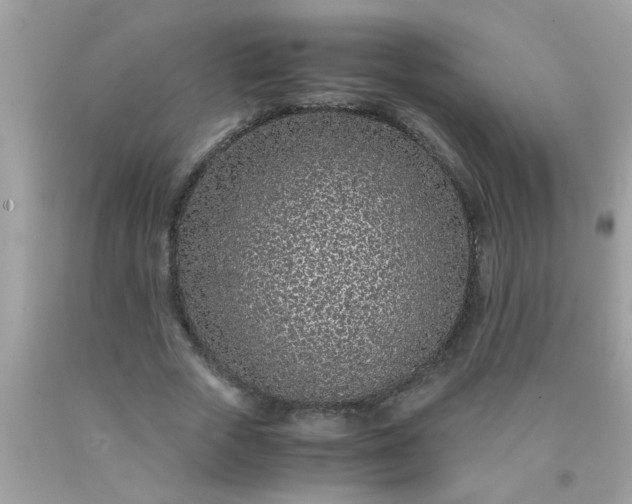 X0000090470729200707272258