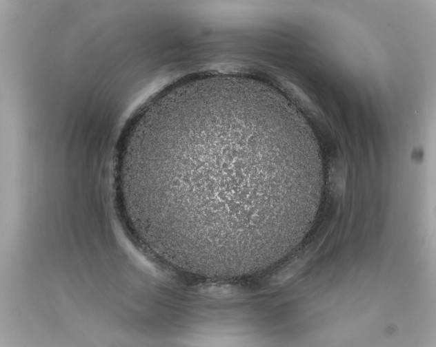 X0000090470730200707272258