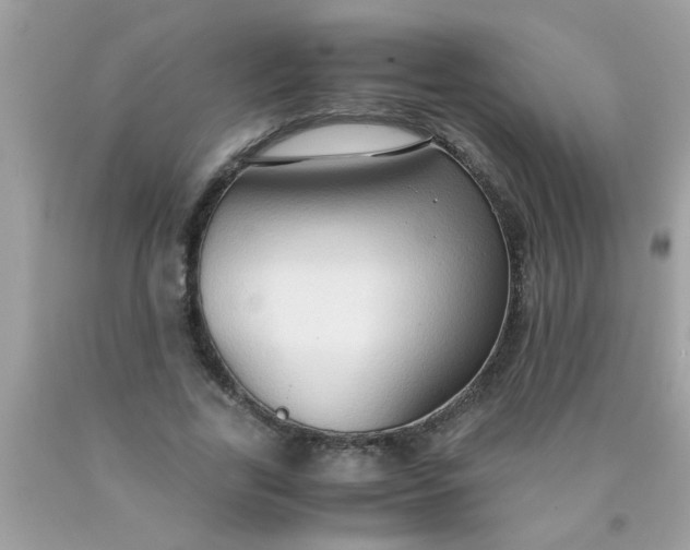 X0000090470731200707272258