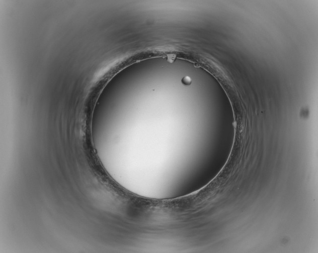 X0000090470732200707272258