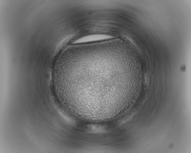 X0000090470733200707272258