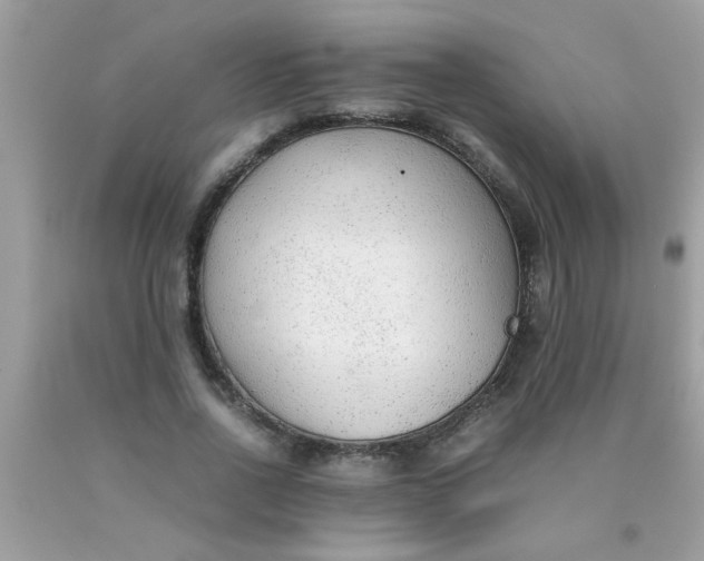 X0000090470734200707272258