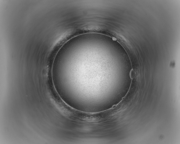 X0000090470735200707272258