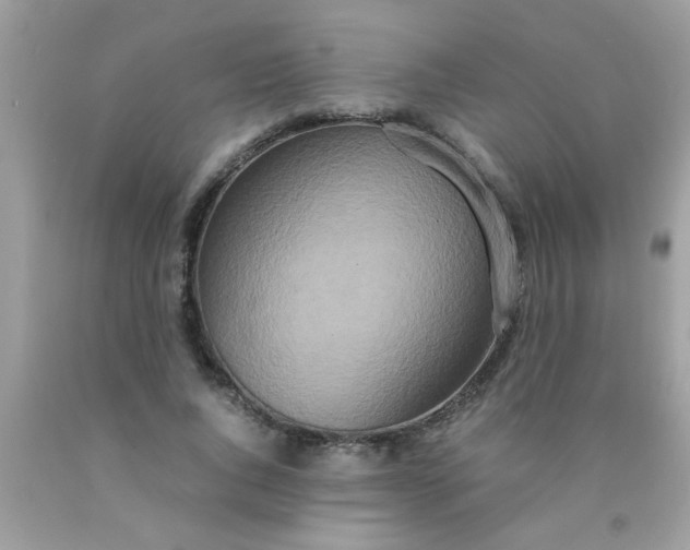 X0000090470736200707272258