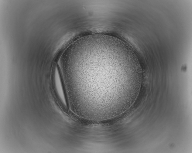 X0000090470738200707272258