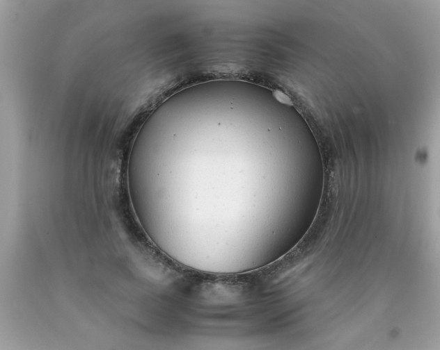 X0000090470739200707272258