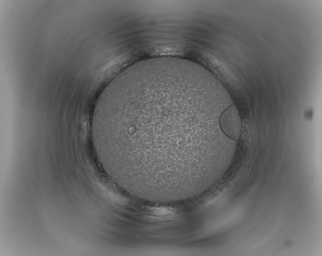 X0000090470741200707272258