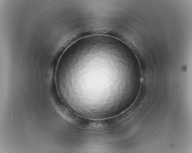 X0000090470742200707272258