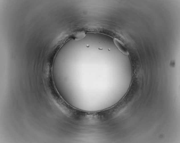 X0000090470744200707272258