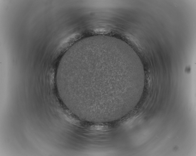 X0000090470745200707272258