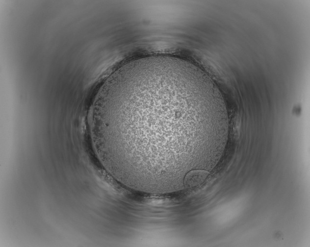 X0000090470746200707272258