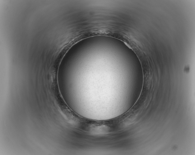 X0000090470747200707272258