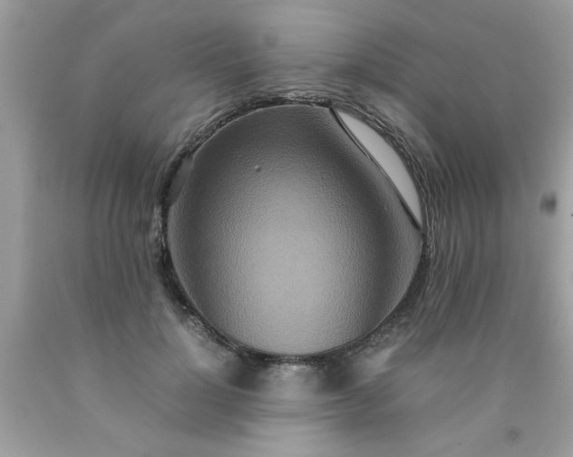 X0000090470748200707272258