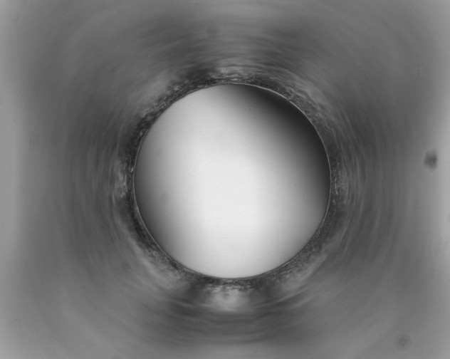 X0000090470751200707272258