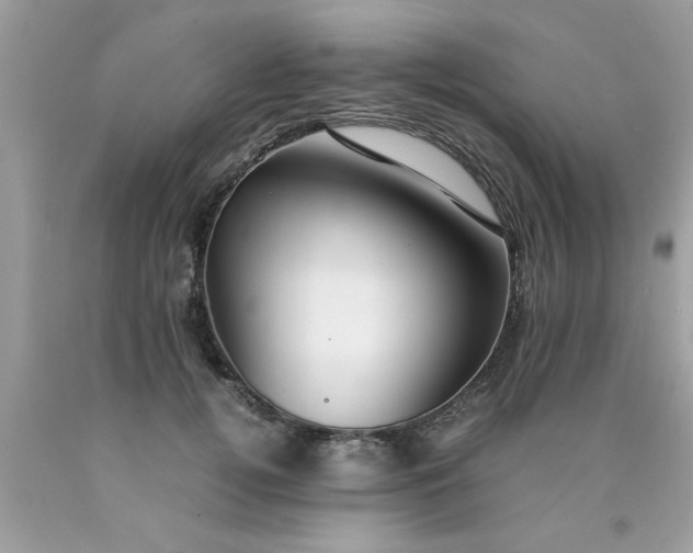 X0000090470752200707272258