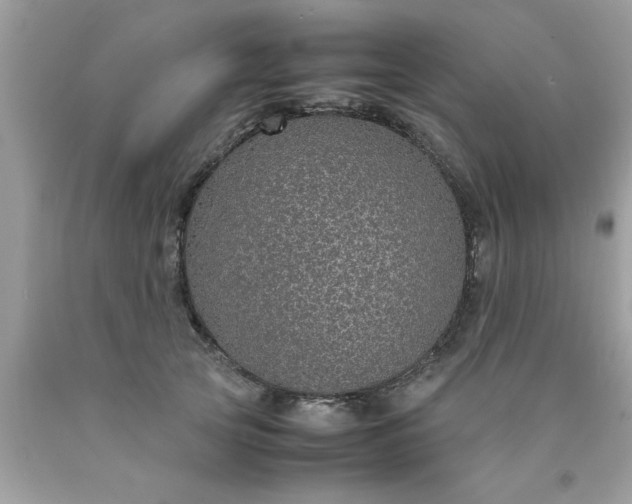 X0000090470753200707272258