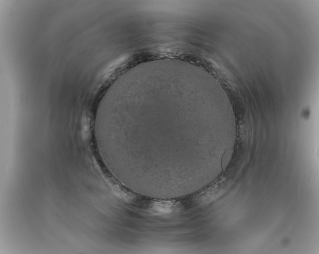 X0000090470757200707272258