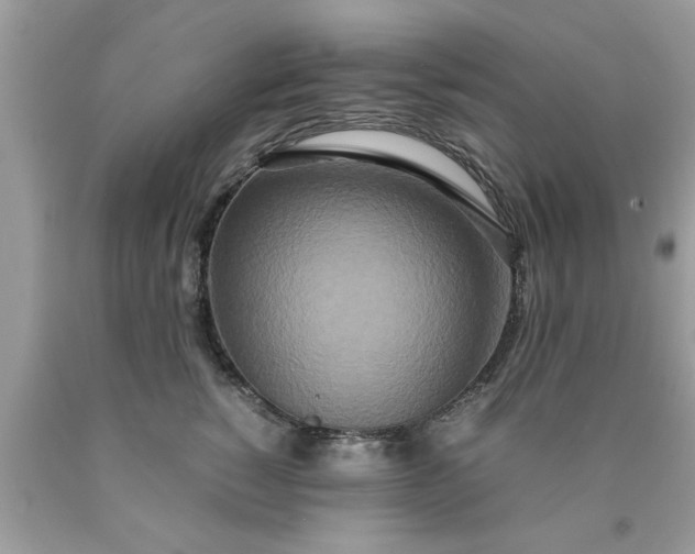 X0000090470760200707272258