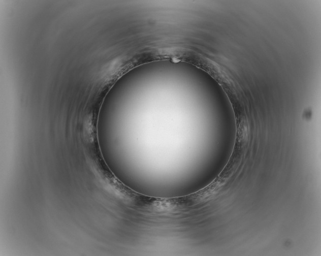 X0000090470764200707272258