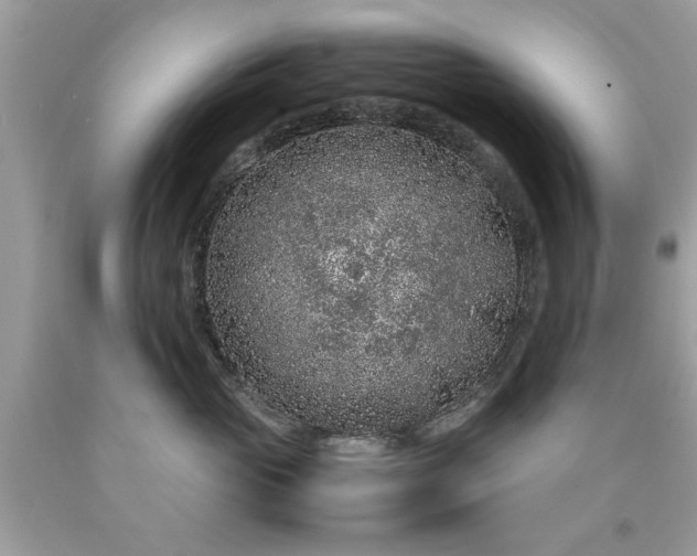 X0000090470765200707272258