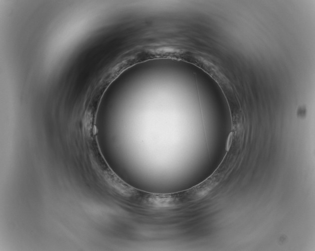 X0000090470767200707272258