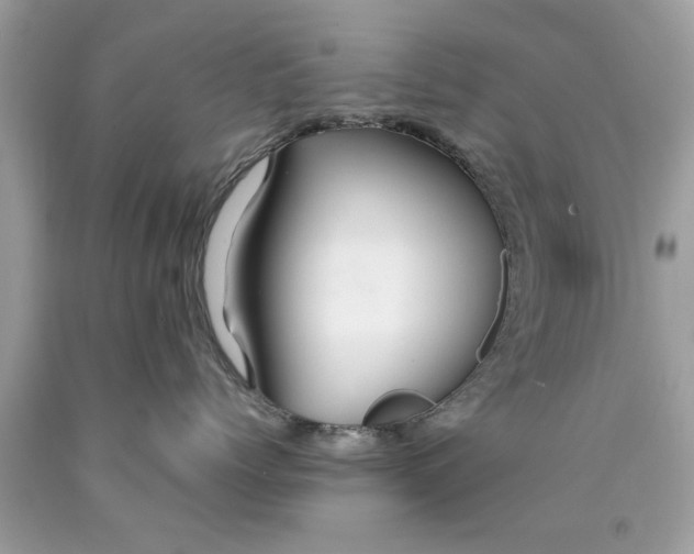 X0000090470768200707272258