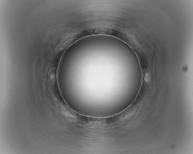 X0000090470771200707272257