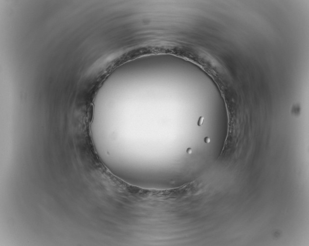 X0000090470773200707272257