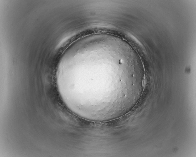 X0000090470775200707272257