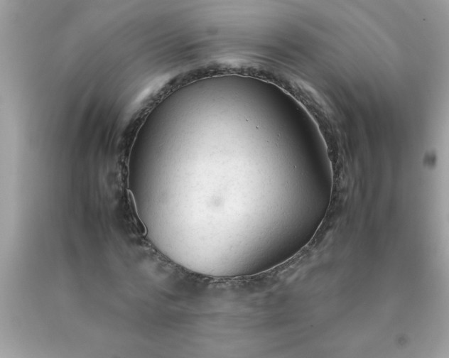 X0000090470776200707272257