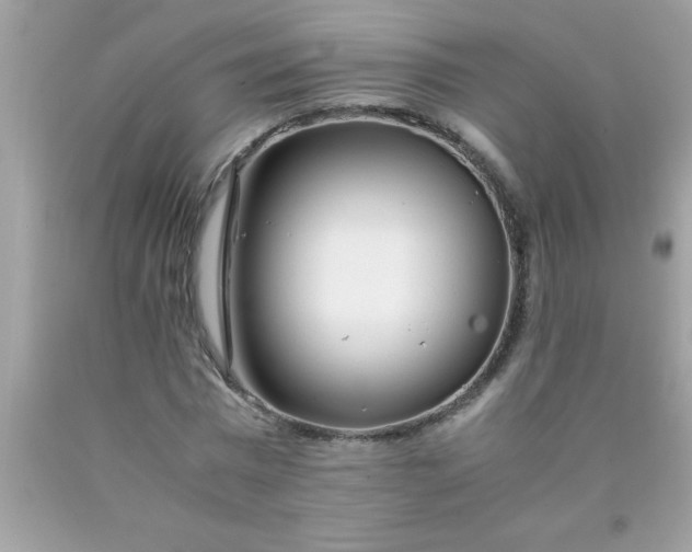 X0000090470777200707272257