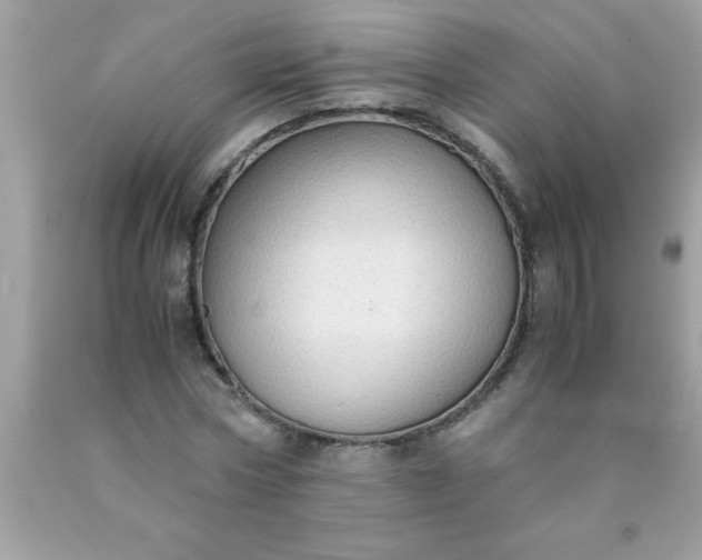 X0000090470778200707272257