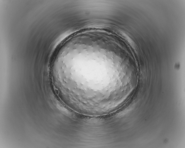 X0000090470779200707272257