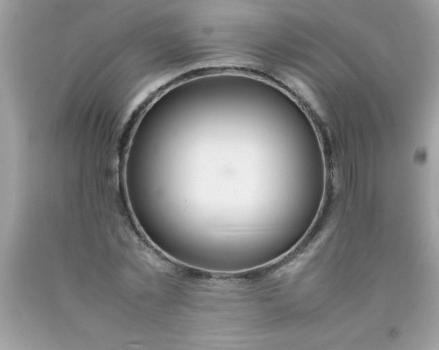 X0000090470781200707272257