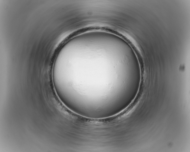 X0000090470783200707272257