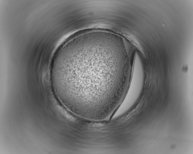 X0000090470784200707272257