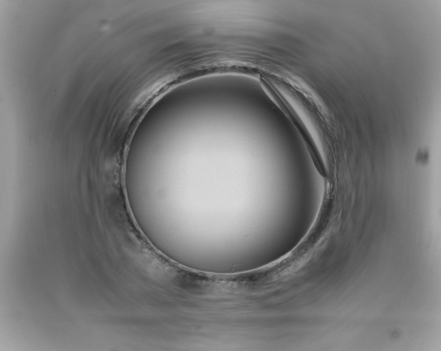 X0000090470785200707272257