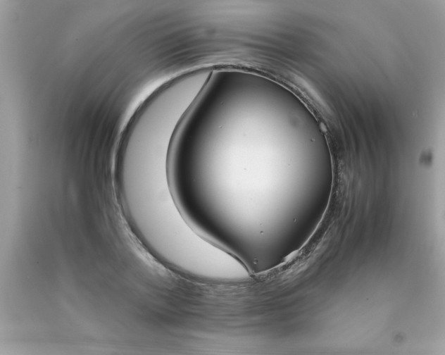 X0000090470788200707272257