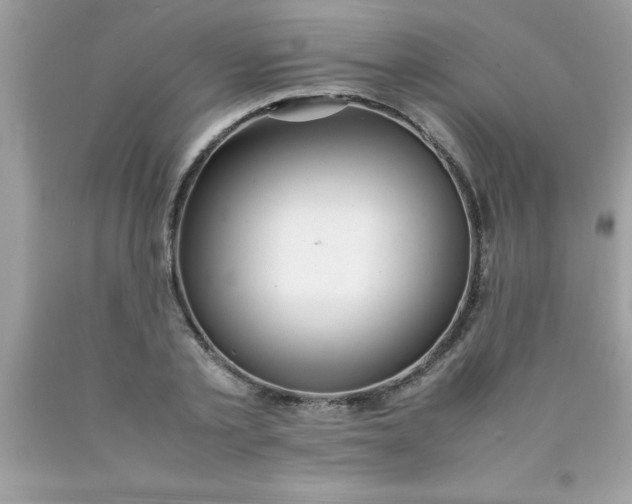 X0000090470789200707272257