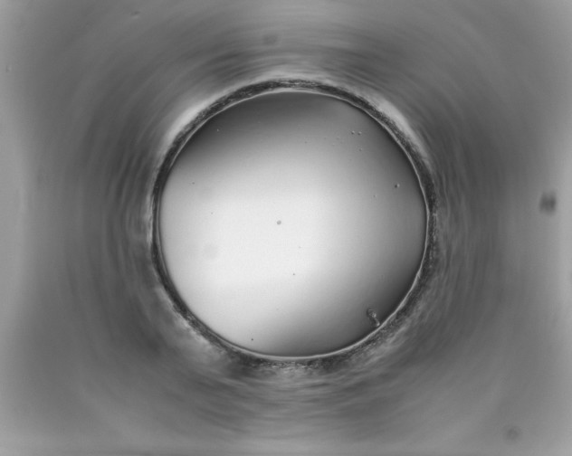 X0000090470791200707272257