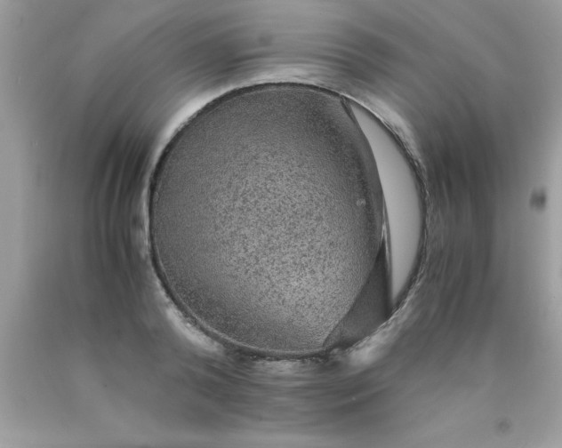 X0000090470792200707272257