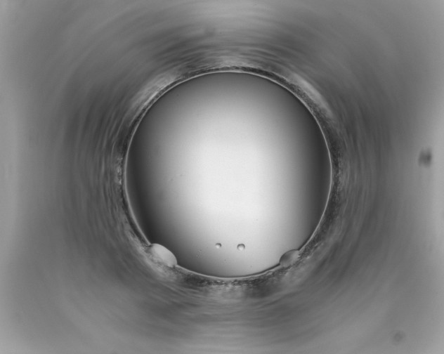 X0000090470793200707272257