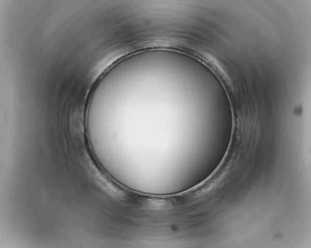 X0000090470794200707272257