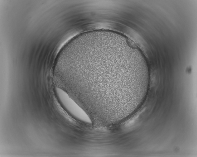 X0000090470798200707272257