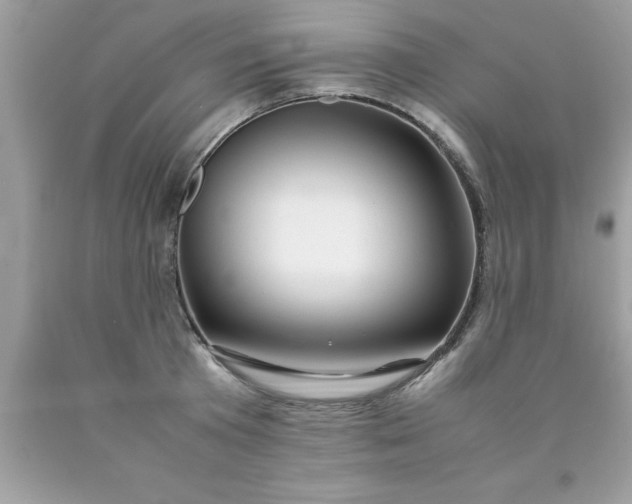 X0000090470801200707272257